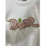 2025年1月20日春夏新品入荷ディオール 半袖 TシャツDW工場