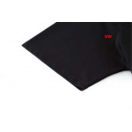 2025年1月20日春夏新品入荷LOEWE 半袖 TシャツDW工場