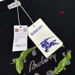 2025年1月20日春夏新品入荷バーバリー 半袖 Tシャツ DW工場