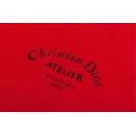 2025年1月20日春夏新品入荷ディオール  半袖 Tシャツ DW工場