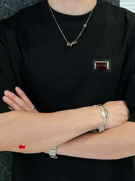 2025年2月28日高品質新品Dior半袖 tシャツDW工場