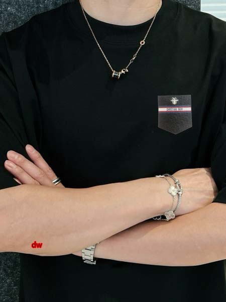 2025年2月28日高品質新品Dior半袖 tシャツDW工場