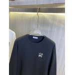 2025年2月16日高品質新品loewe春夏スウェットシャツ  dtai 工場