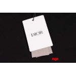 2025年2月17日高品質新品Christian Dior春夏半袖Tシャツ  regu工場