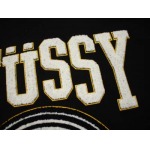 2025年2月19日高品質新品stussyジャケット  regu工場