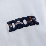 2025年2月19日高品質新品Dior半袖のT シャツ  regu工場