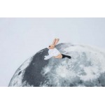 2025年2月20日高品質新品loewe半袖のT シャツ  FF工場