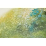 2025年2月20日高品質新品loewe半袖のT シャツ  FF工場