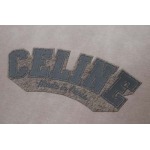 2025年2月20日高品質新品celine半袖のT シャツ  FF工場