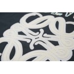 2025年2月20日高品質新品loewe半袖のT シャツ  FF工場