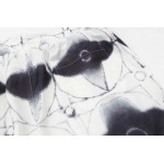 2025年2月20日高品質新品Louis Vuitton半ズボン  FF工場