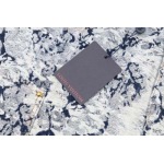 2025年2月20日高品質新品Louis Vuitton 半ズボン  FF工場