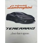 2025年2月21日高品質復刻新品Balenciaga半袖Tシャツ  FF工場