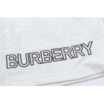 2025年2月22日高品質新品burberry半ズボン  FF工場