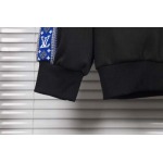 2025年2月23日新品Louis Vuitton上着  yaofa工場