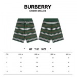 2025年2月23日新品burberry半ズボン  yaofa工場