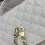 2025年2月26日新品Chanelバッグ zy工場18x4x13cm