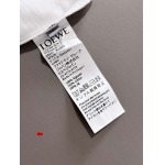 2025年2月28日高品質新品loewe半袖 tシャツDW工場