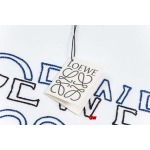 2025年2月28日高品質新品loewe半袖 tシャツDW工場