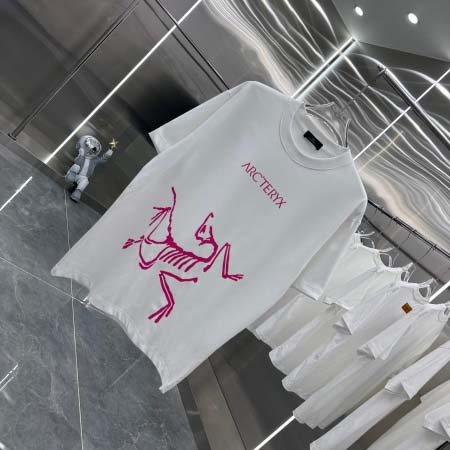 2025年3月1日春夏高品質新品ARCTERYX半袖 tシャツDW工場