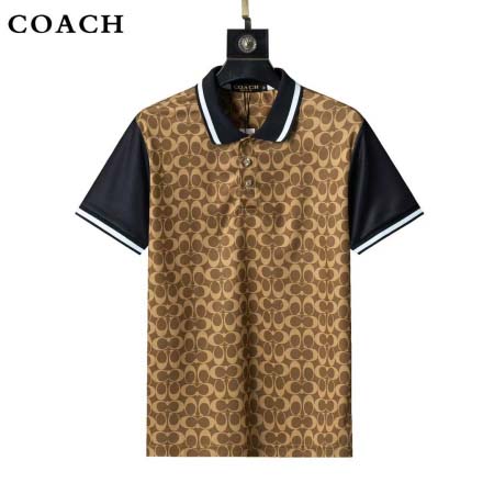 2025年3月25日入荷春夏新作半袖Tシャツshun工場