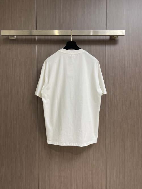 2025年3月26日入荷春夏高品質新作Dior半袖 tシャツTF工場