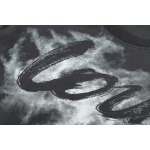 2025年3月1日春夏高品質新品Louis Vuitton半袖 tシャツDW工場