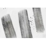 2025年3月1日春夏高品質新品Gucci半袖 tシャツDW工場