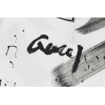 2025年3月1日春夏高品質新品Gucci半袖 tシャツDW工場