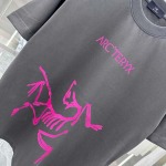 2025年3月1日春夏高品質新品ARCTERYX半袖 tシャツDW工場