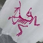 2025年3月1日春夏高品質新品ARCTERYX半袖 tシャツDW工場