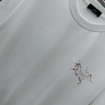 2025年3月1日春夏高品質新品ARCTERYX半袖 tシャツDW工場