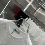 2025年3月1日春夏高品質新品loewe半袖 tシャツDW工場