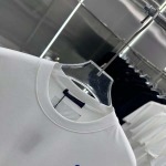2025年3月1日春夏高品質新品LOUIS VUITTON半袖 tシャツDW工場