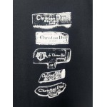 2025年3月2日春夏高品質新品Dior半袖 tシャツDW工場