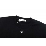 2025年3月2日春夏高品質新品Dior半袖 tシャツDW工場