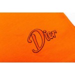 2025年3月2日春夏高品質新品Dior半袖 tシャツDW工場