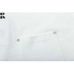 2025年3月2日春夏高品質新品Dior半袖 tシャツDW工場