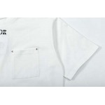 2025年3月2日春夏高品質新品Dior半袖 tシャツDW工場
