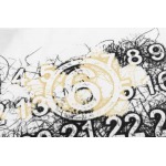 2025年3月2日春夏高品質新品Maison Margila半袖 tシャツDW工場