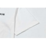 2025年3月2日春夏高品質新品Dior半袖 tシャツDW工場