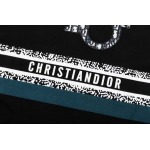 2025年3月2日春夏高品質新品Dior半袖 tシャツDW工場