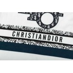 2025年3月2日春夏高品質新品Dior半袖 tシャツDW工場