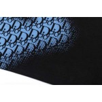 2025年3月2日春夏高品質新品Dior半袖 tシャツDW工場