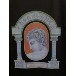 2025年3月5日新品Casablanca半袖Tシャツ  DU1工場