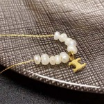 2025年3月7日入荷新品celineネックレスギフト/誕生日/記念品/xin工場