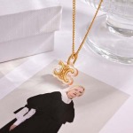 2025年3月9日入荷新品Celineネックレスギフト/誕生...