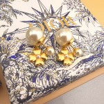 2025年3月9日入荷新品Diorピアスギフト/誕生日/記念品/アクセサリーxin工場