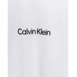 2025年3月13日高品質新品CK半袖Tシャツ  xiongma工場