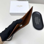 2025年3月17日新品財布celine4770    14X11X2   zy工場